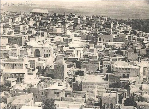 بيوت حماة القديمة