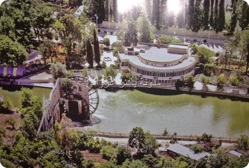 حماة الحسناء