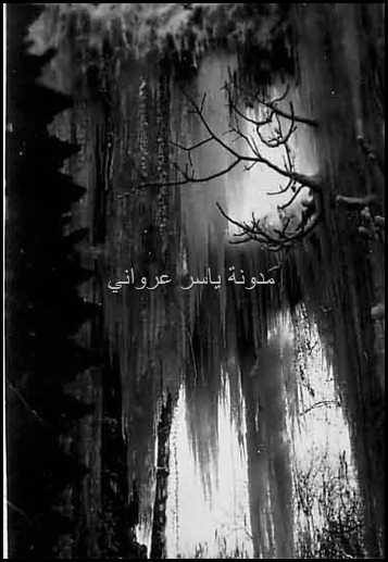 ثلوج حماة قديما