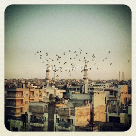 حماة لحظه غروب الشمس