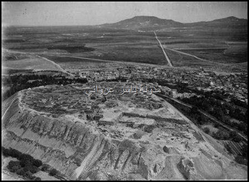 صورة قديمة قلعة حماة من الجو