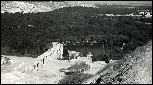 بساتين مدينة حماة