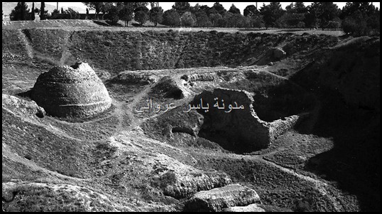 حفريات قلعة حماة الأثرية