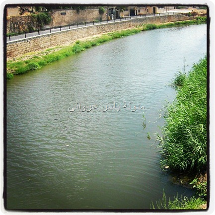 العاصي حماه