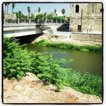 العاصي في حماة