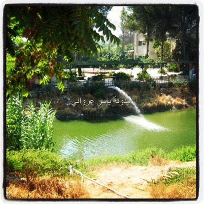 حماة العاصي