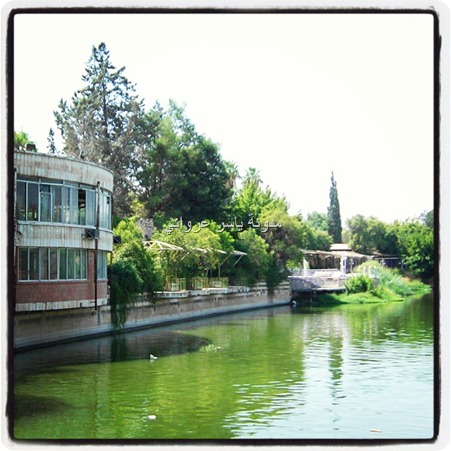 حماة نهر العاصي .