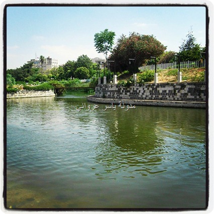 مدينة حماة العاصي