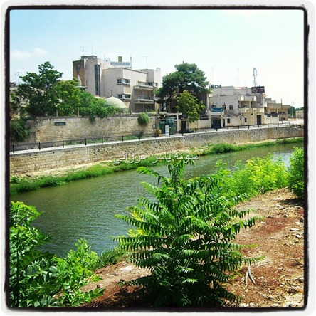 مدينة حماة نهر العاصي