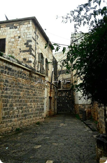 الأحياء القديمة