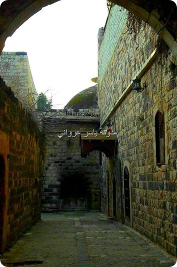 الأحياء في مدينة حماة