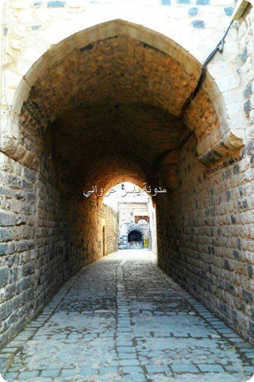 حماة أحياء قديمة