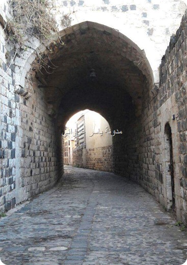 روعة الأحياء في حماة