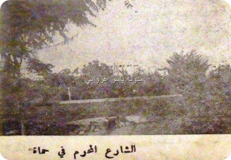 قصة الشارع المحرم في حماة