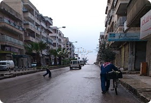 حي الأميرية ,