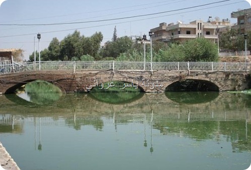مدينة حماة جسر باب النهر
