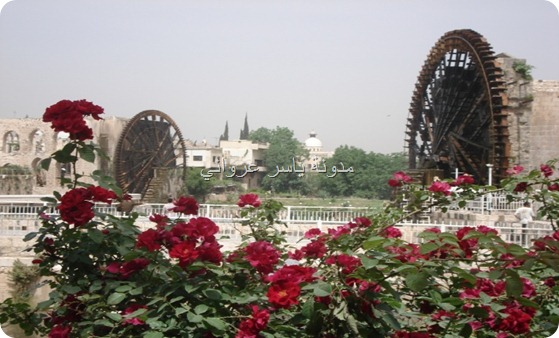 ناعورة الجسرية وناعورة المأمورية