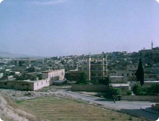 حي المدينة الصورة من قلعة حماة الأثرية