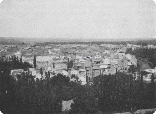 حي الكيلانية وحي الزنبقي