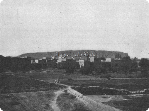 قلعة حماة الأثرية