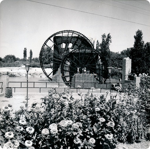 الاربع نواعير حماة 1960