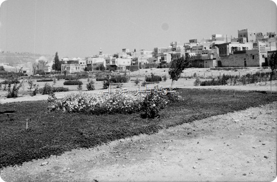 الواجهة الجانبية لحي الكيلانية 1960