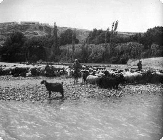 باب النهر وتظهر بالصورة ناعورة القاق