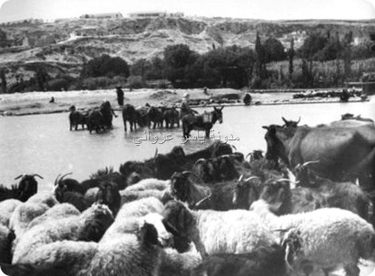 باب النهر ويظهر بالصورة سفح البرناوي