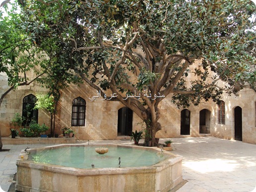 شجرة المانوليا بقصر العظم في مدينة حماة