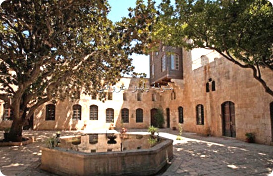 شجرة المانوليا مدينة حماة