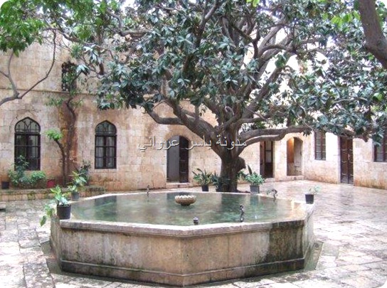 قصر العظم شجرة المانوليا حماة