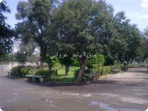 حديقة ام الحسن حماة