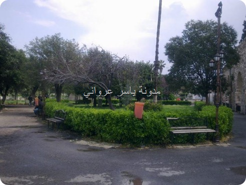 حديقة ام الحسن حماه