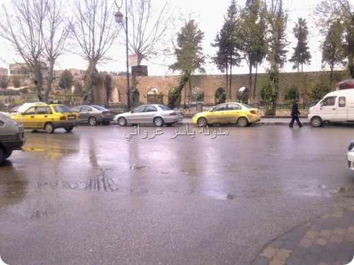 حماة ساحة العاصي