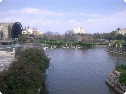 حماة نهر العاصي