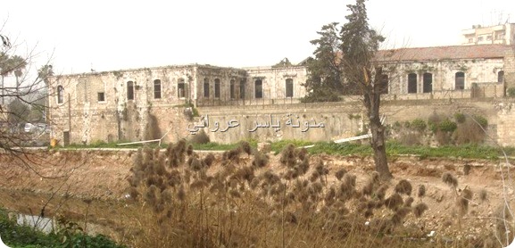 قصر الأرناؤوط ونهر العاصي