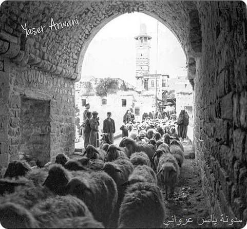 قبوة الكيلانية في مدينة حماة 1945م