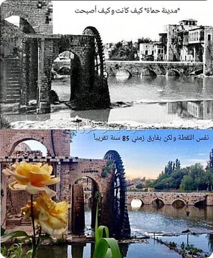 ناعورة الصهيونية ( الصاهونية )