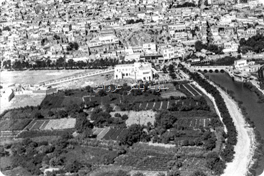 البساتين في مدينة حماة