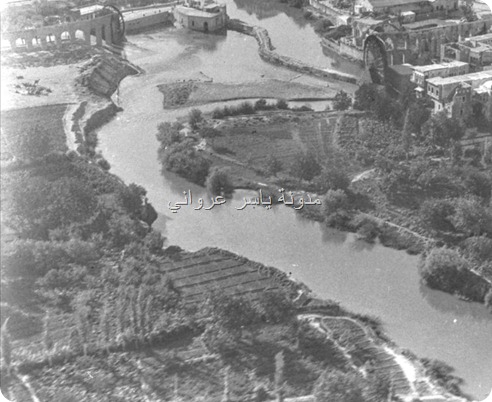 بساتين حماة