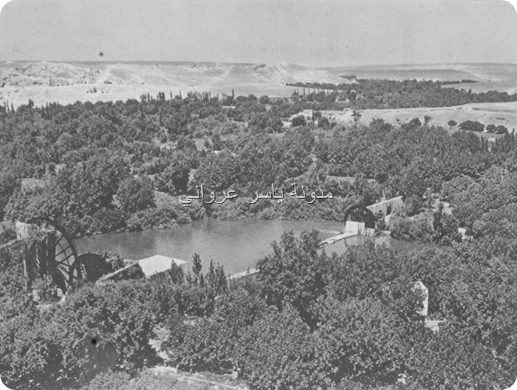 بساتين مدينة حماة