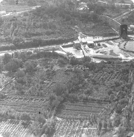 بساتين مدينة حماه