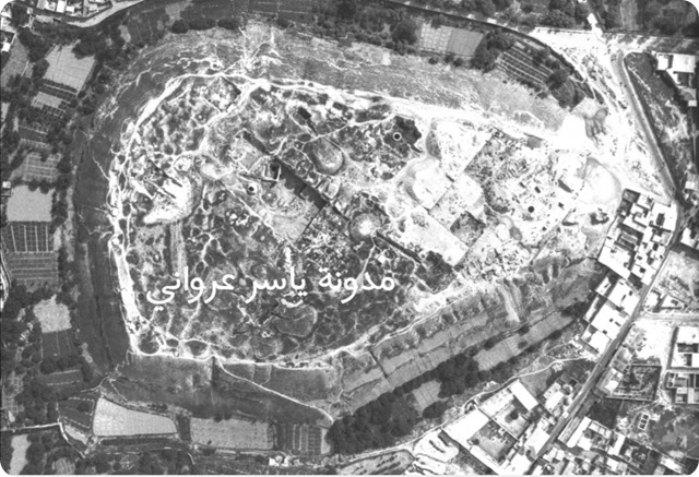 قلعة حماة وماحولها بالقرن العشرين