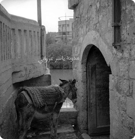 مدخل طاحونة رحى الغزالة بمدينة حماة